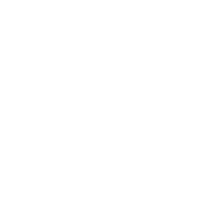 bloom logo wit